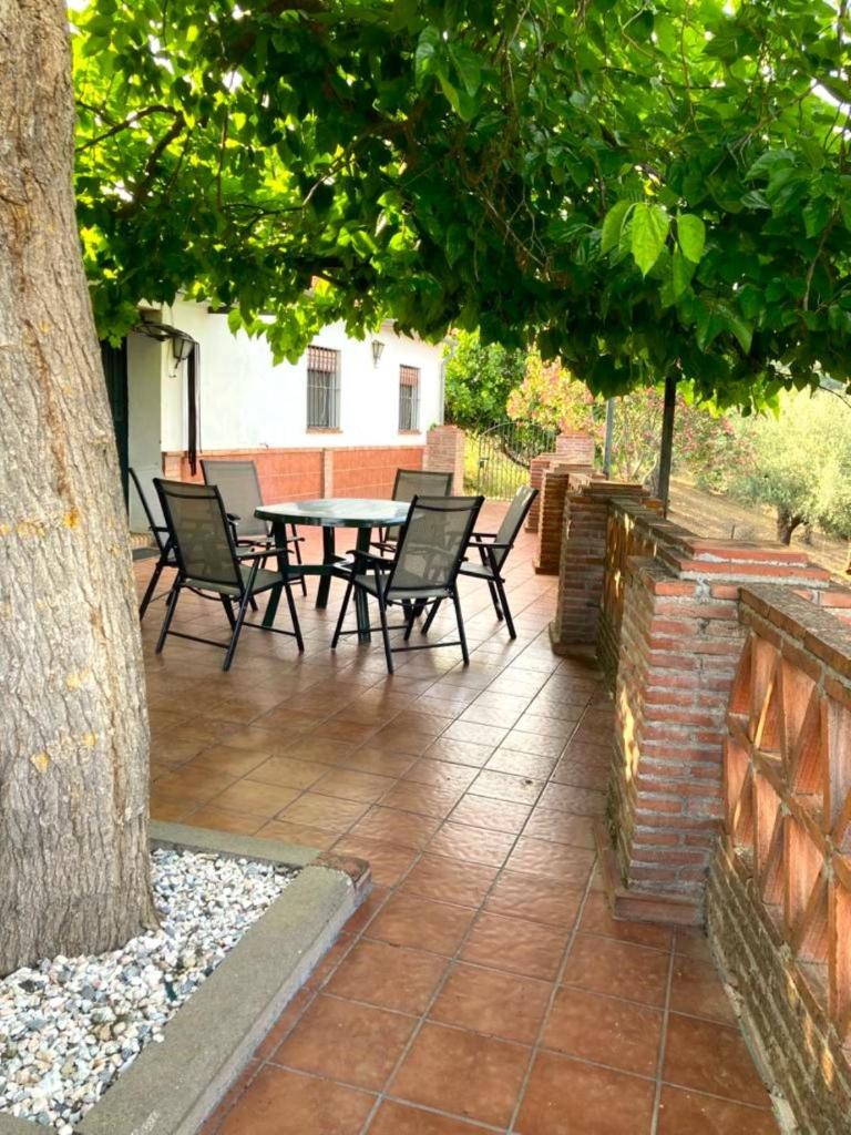 Finca Villa Coral photo 3
