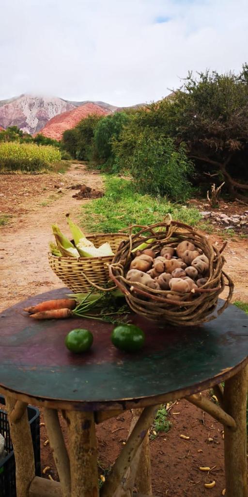 Huerta Las Señoritas photo 4