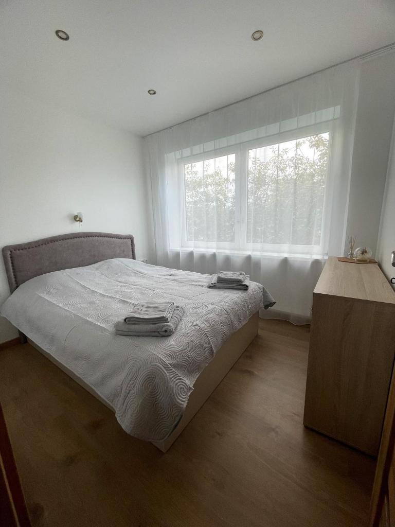 Skalvija Apartment Dreverna photo 4