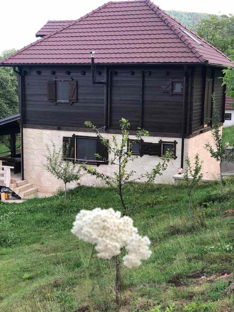 Lazarus House photo 1