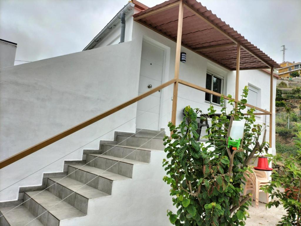 casa lipa photo 1