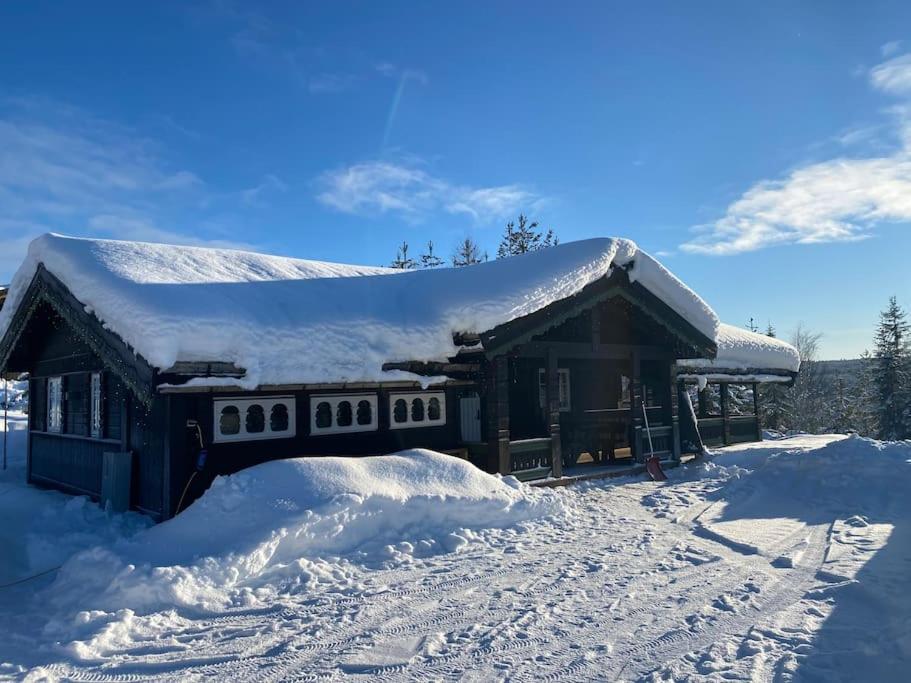 TRYSIL - Koselig norsk fjellhytte photo 1