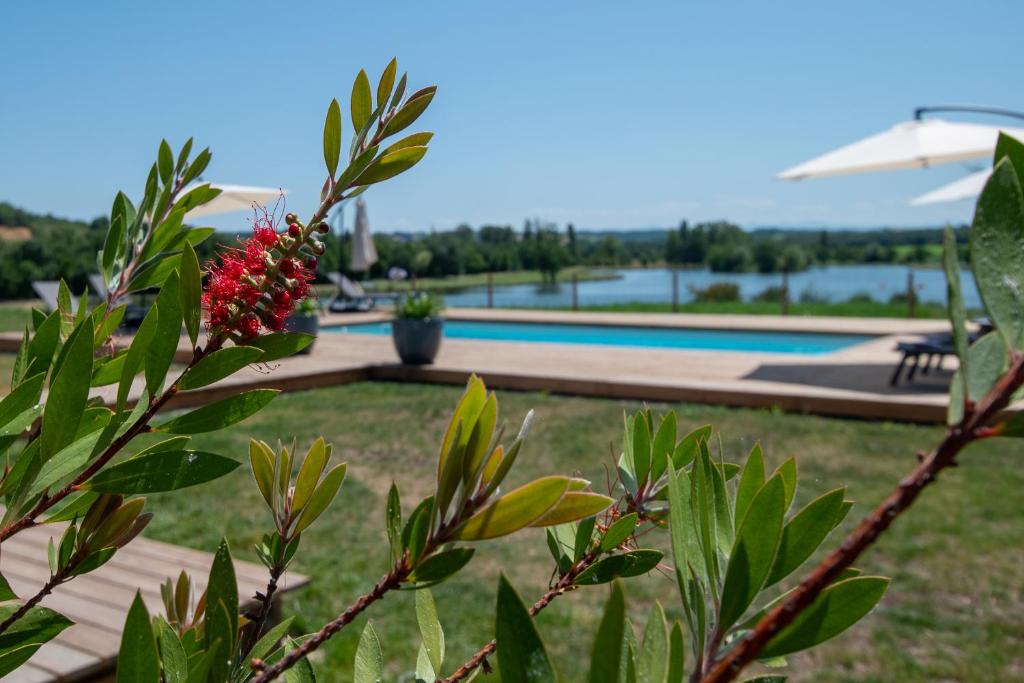 La Villa face au Lac photo 1