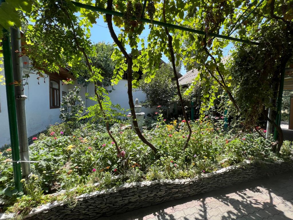 Lovely home for you photo 1