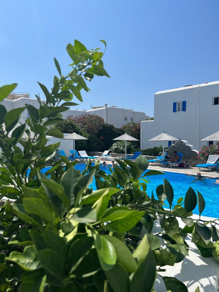 Anemos Apartments photo 1