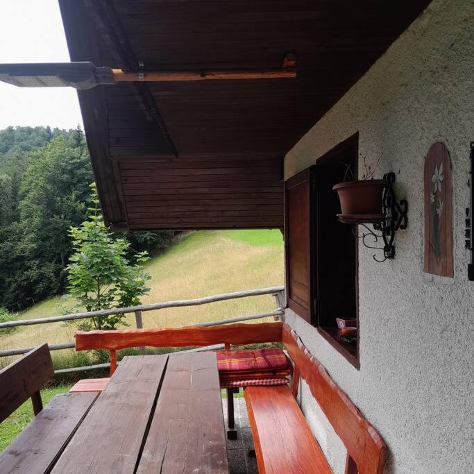 A Window to the Alps photo 2