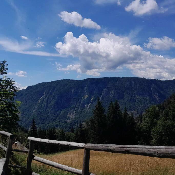 A Window to the Alps photo 4