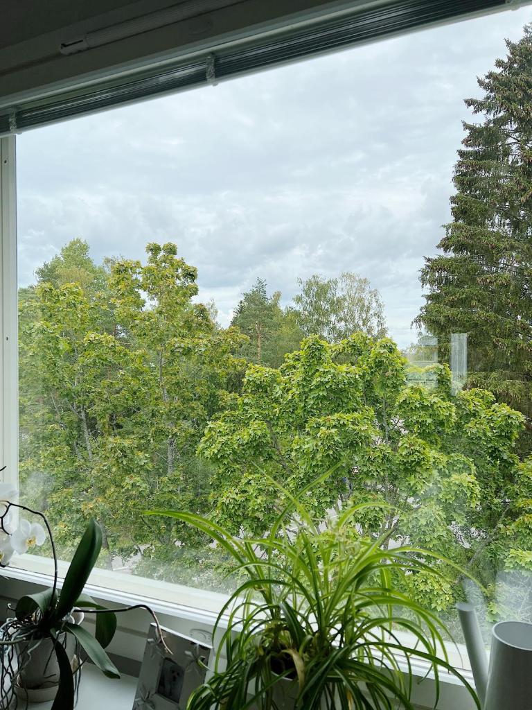 Lovely apartment with free parking photo 2