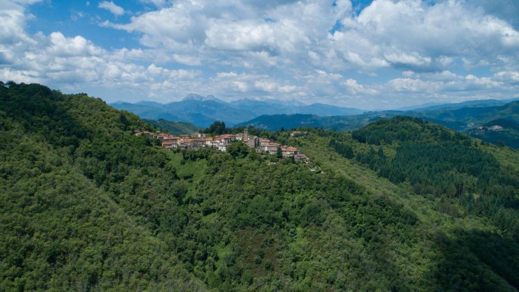 La Canonica photo 2