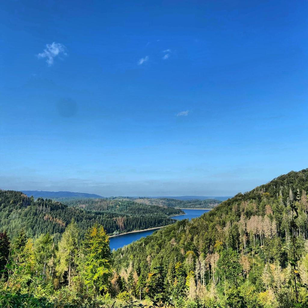 Harzpur Lodge - Pure Entspannung in purer Natur photo 3