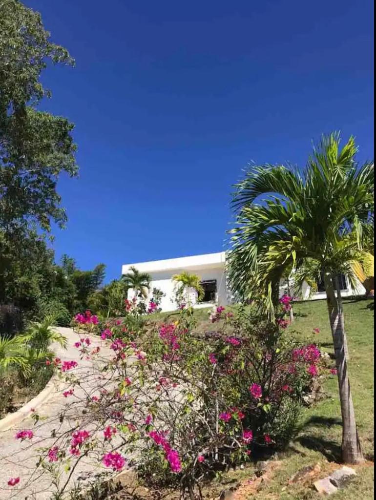 VILLA DJUNA photo 2
