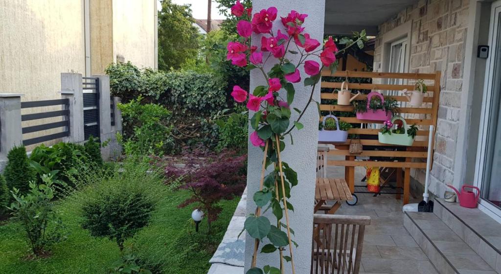 Apartman Alma photo 1