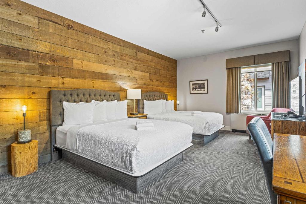 Basecamp Lodge Canmore photo 3