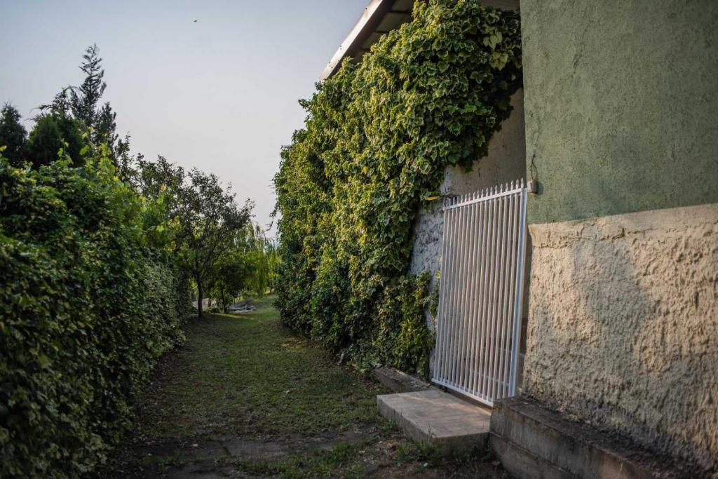 Vacation home ROT Ohrid photo 4