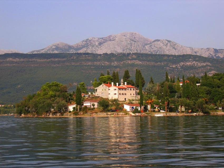 Bamboleo Montenegro photo 3