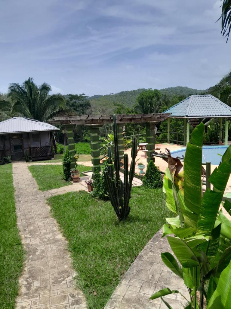 Inn the bush