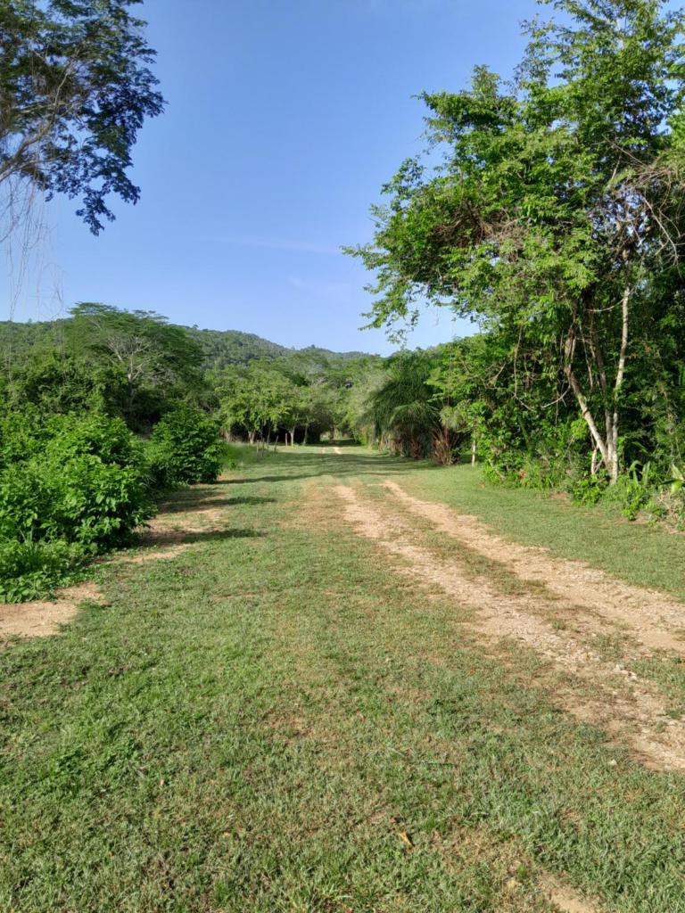 Inn the bush photo 2