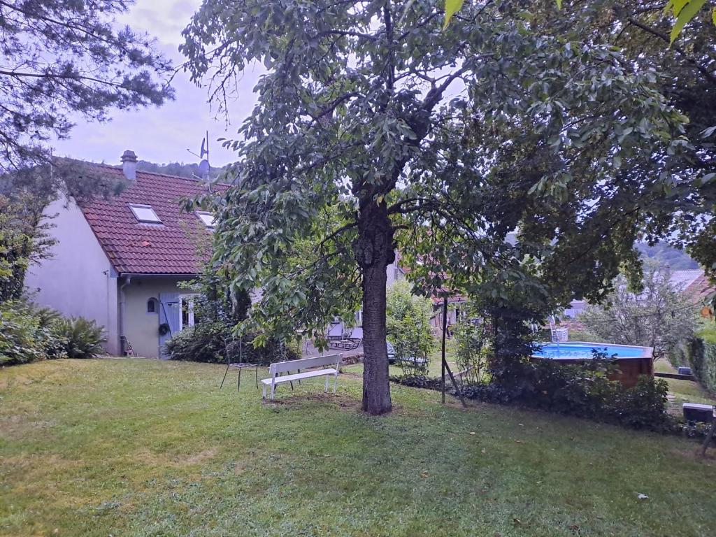 Maison d'hôtes des Mondfänger photo 3