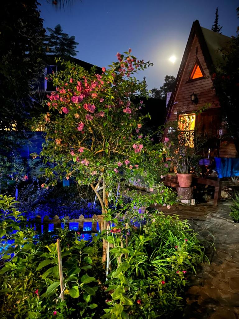 Oran Ağaç Bungalovs photo 2