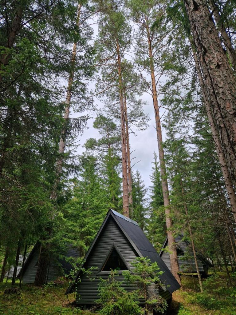 Liivakõrtsi kämping photo 4
