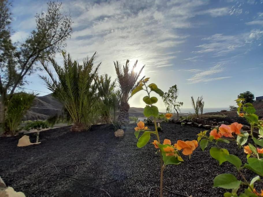 CASAGRANDE SUNSET Las Hermosas (C.Calma) photo 3