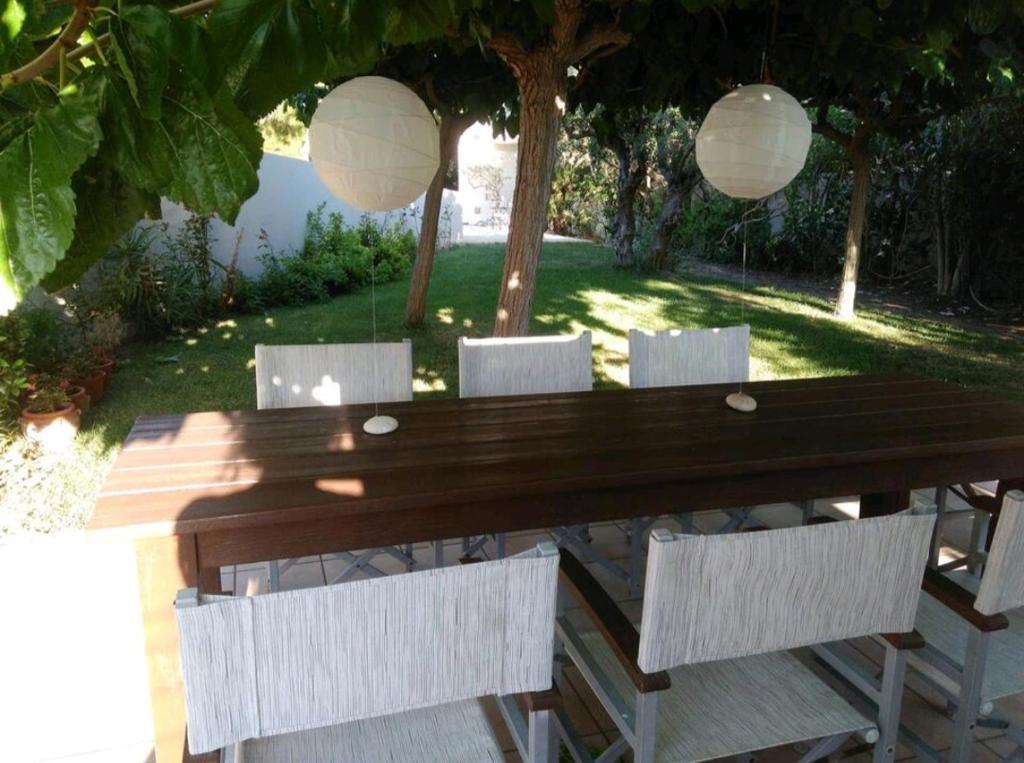 Onorio Belli photo 1
