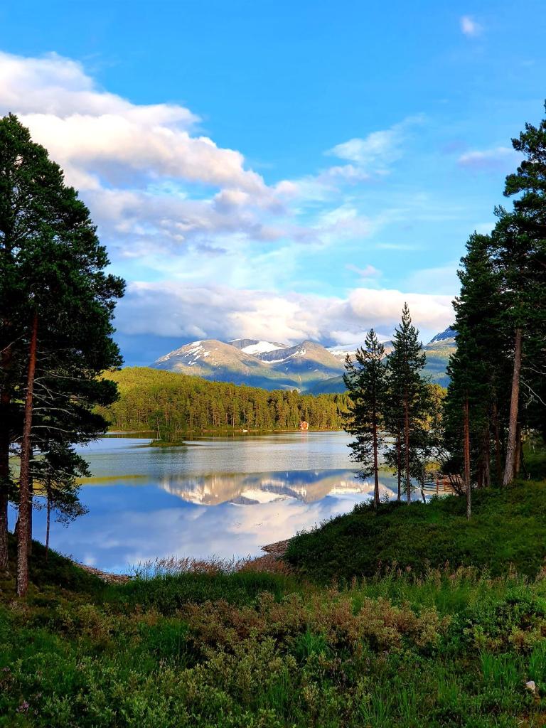 Charming house by a small lake photo 2