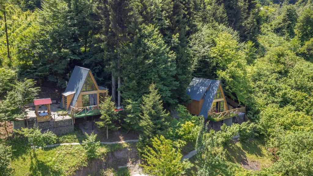 Forest House