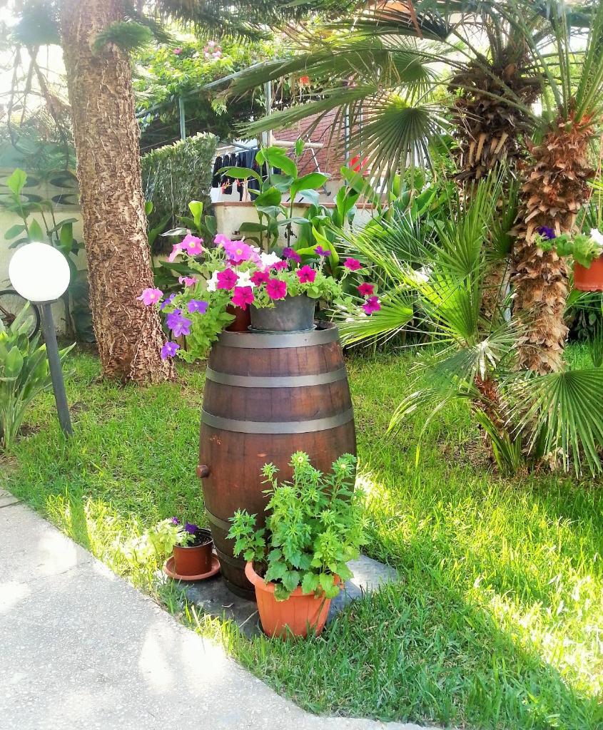 villa per sole mare e relax photo 1