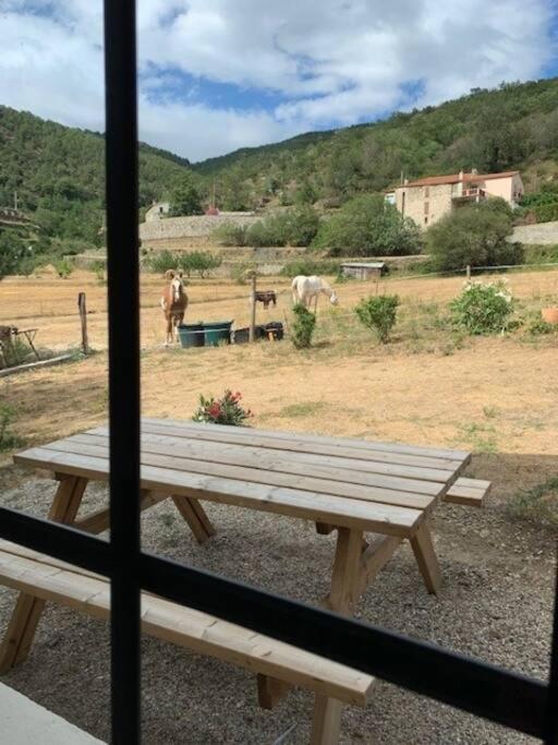 Casa del Sola photo 1