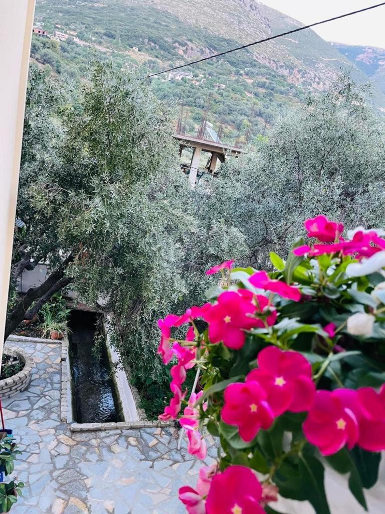 Villa Aristoteli photo 1