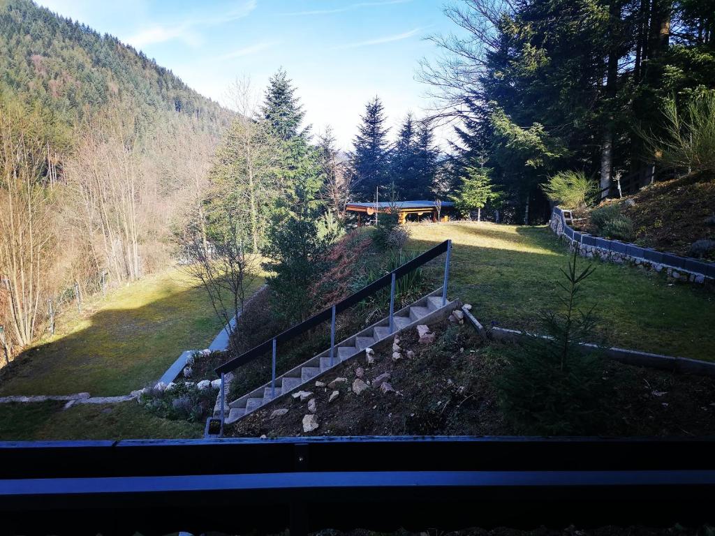 Haus Schwarzwaldblick photo 3