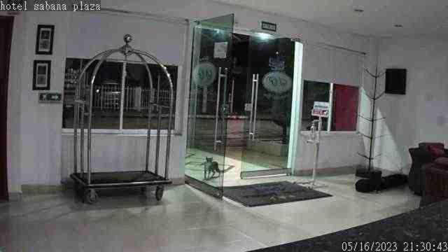 Hotel Sabana Plaza photo 4