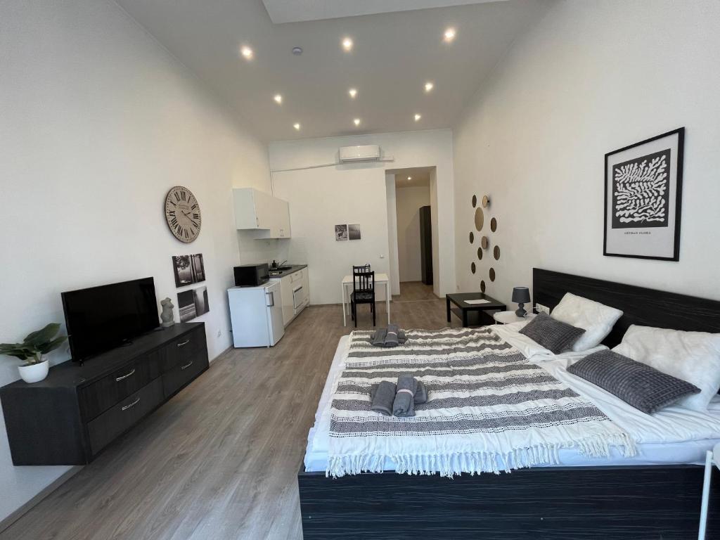 D58 Superior Apartments in the city center