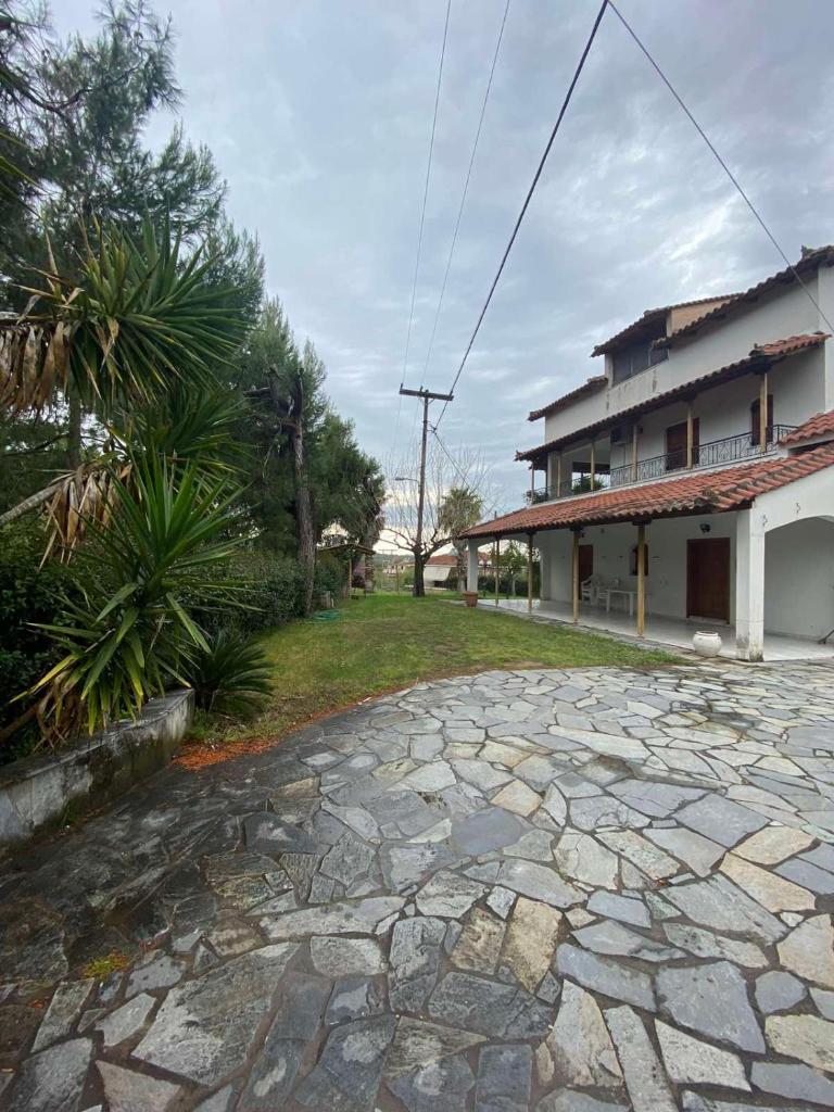 GABBIANO VILLA photo 4