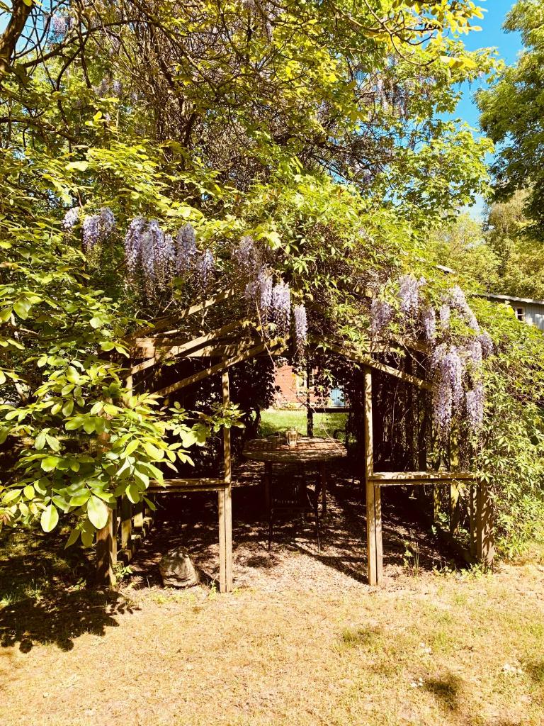 Landhaus Börmoos photo 3