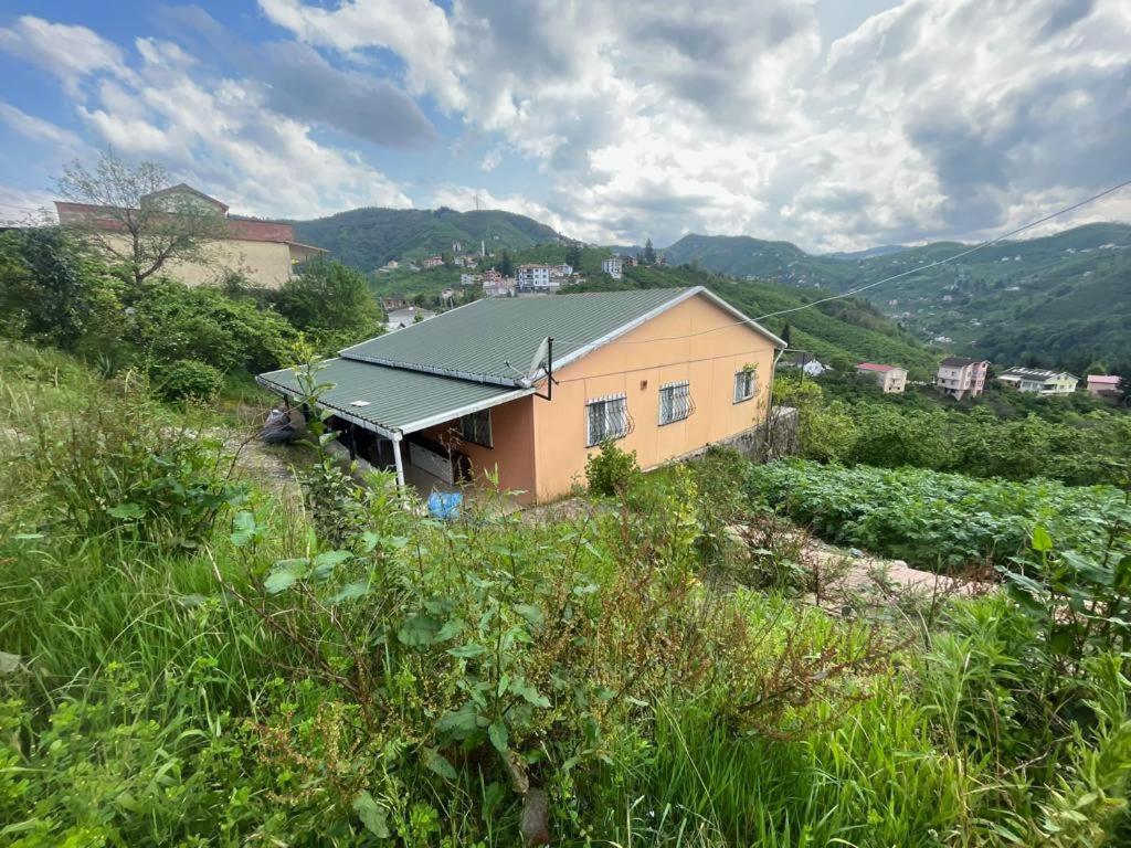 Aile Dağ evi photo 3