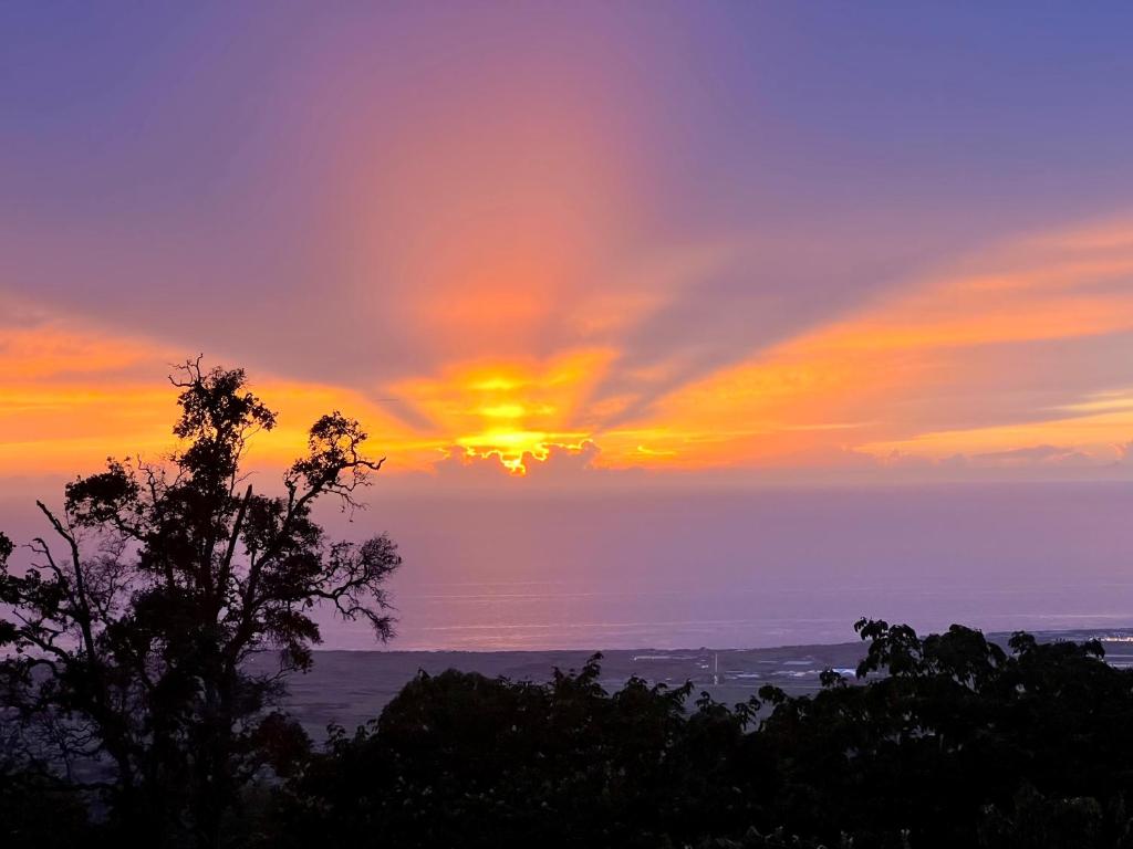 Mango Sunset Bed and Breakfast image