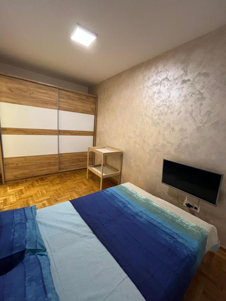 APARTMAN VOJVODA JJ photo 3