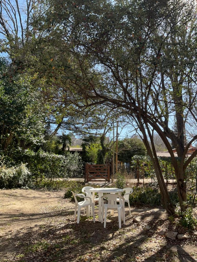 Complejo Jardín de Olmos photo 4