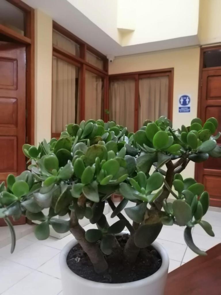 Villa Hermosa photo 2