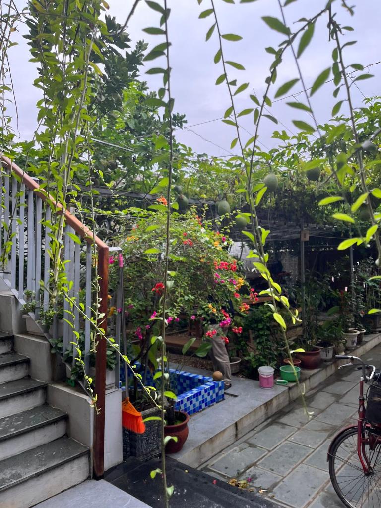 Homestay làng cổ Đường Lâm