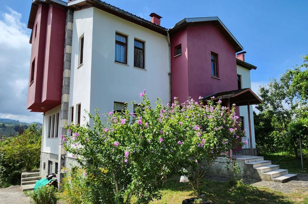 Grand611. photo 1