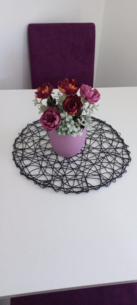 Apartmani Banja Vrujci photo 1