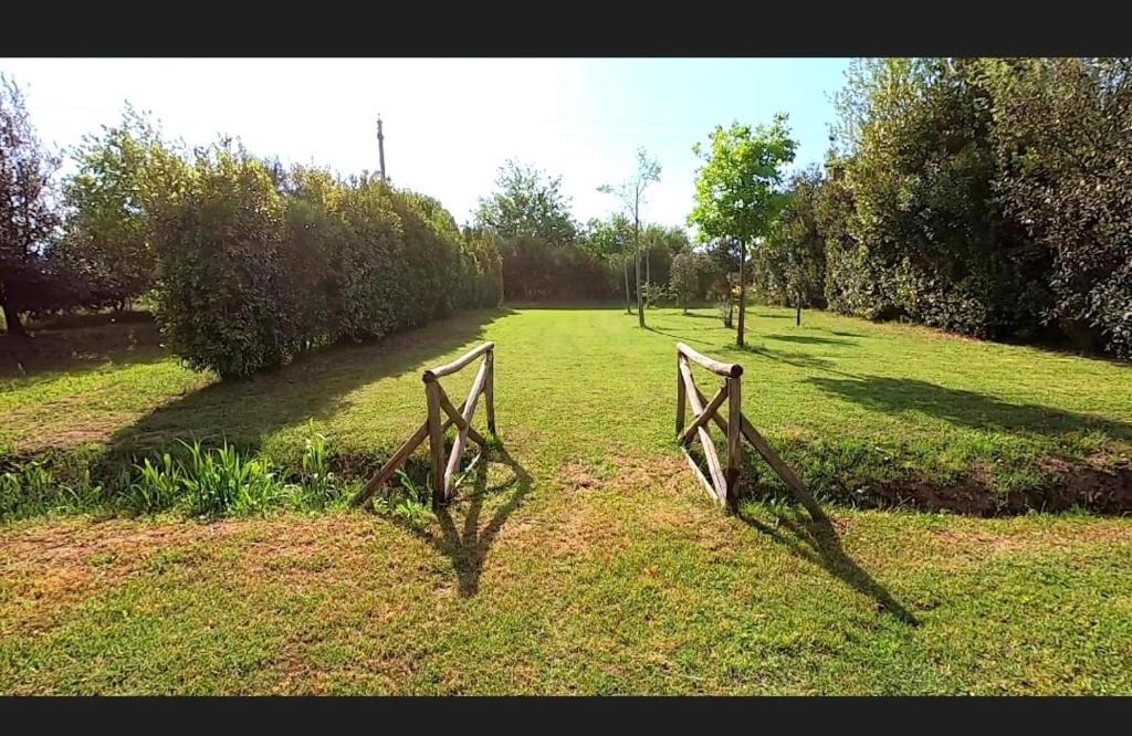 BNATURAL GLAMPING NATURISTA/NUDISTA photo 2