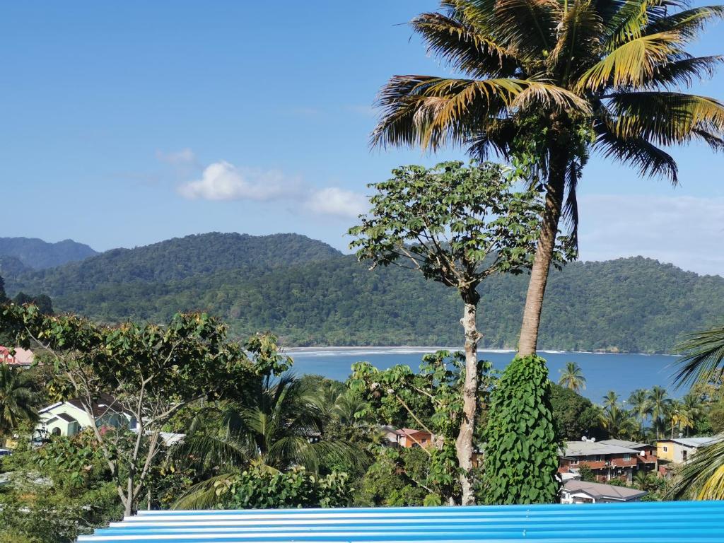 Karibik Trinidad Ocean few guesthouse