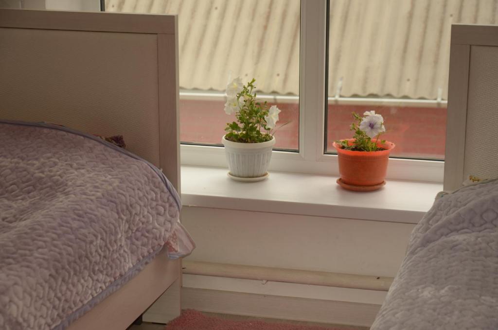 Life House photo 4