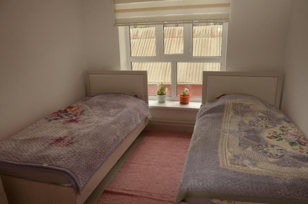 Life House photo 3
