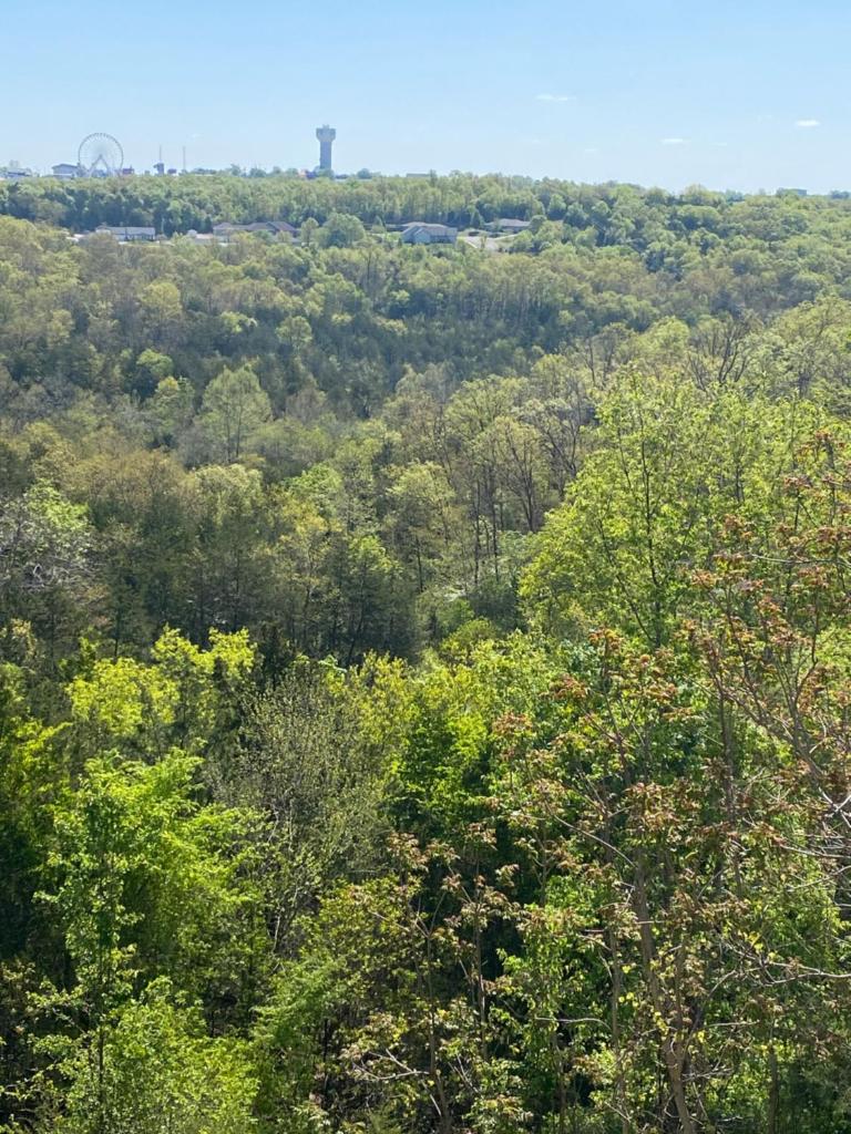 The Vista photo 1