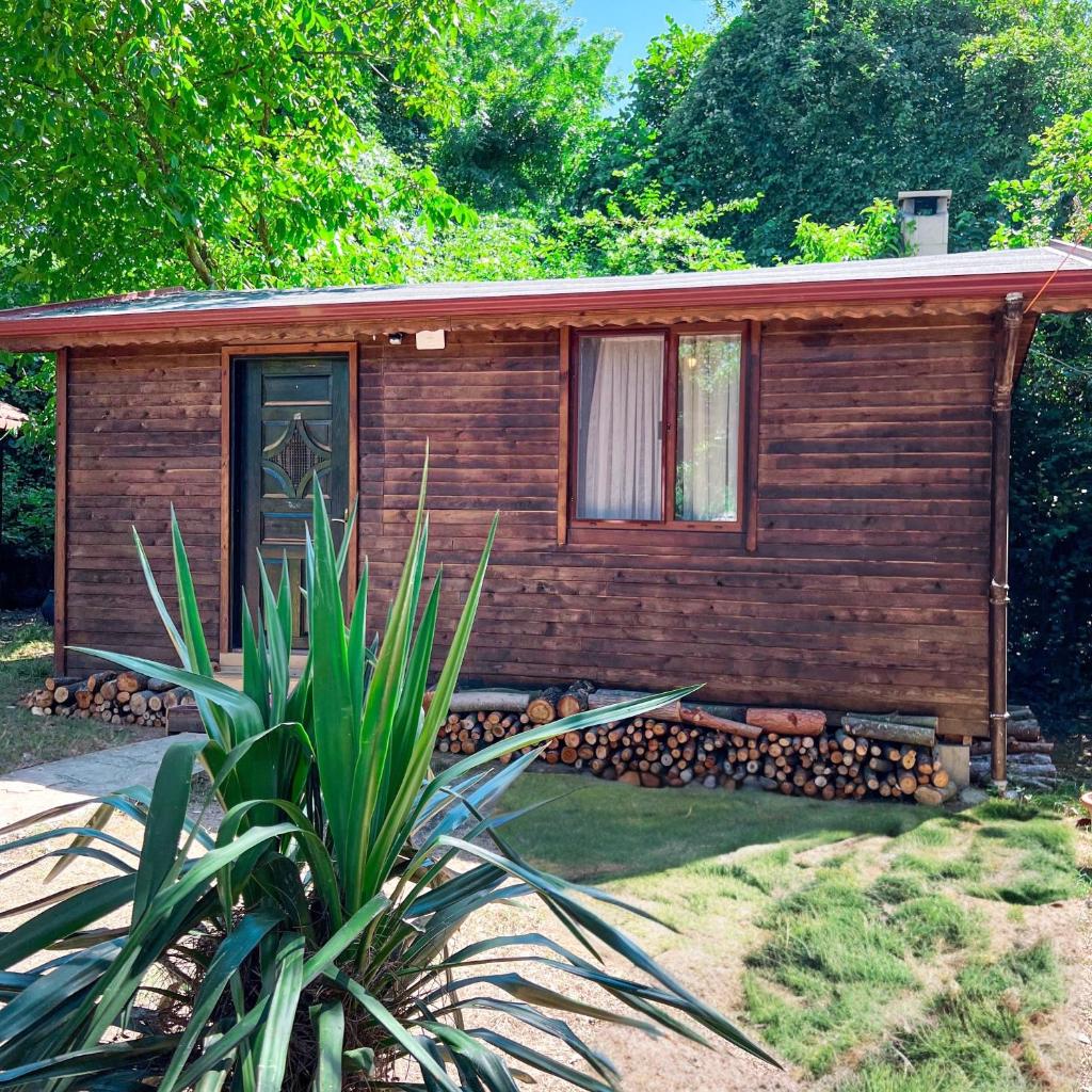 Tartaruga Boutique Hotel & Bungalows photo 2